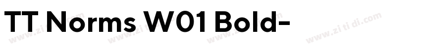 TT Norms W01 Bold字体转换 TT Norms W01 Bold字体转换